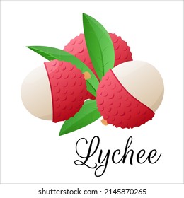 Lychee fruit drawings. Summer tropical and vegetarian food for healthy lifestyle. Asian fruits for juice. Dieting vegetable. Stock vector illustration. Cartoon flat icon. Isolate on white background
