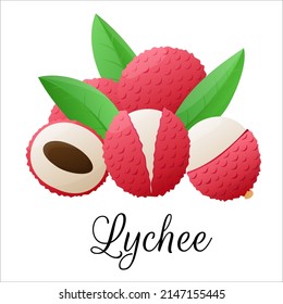 Lychee fruit drawings. Summer tropical and vegetarian food for healthy lifestyle. Asian fruits for juice. Dieting vegetable. Stock vector illustration. Cartoon flat icon. Isolate on white background