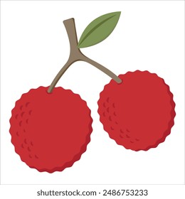 Lychee Fruit in Flat Illustration Isolated on White Background