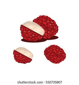 Lychee Fruit Fresh Realistic Vector Illustration