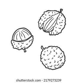 Lychee fruit graphic black white isolated sketch illustration vector in doodle style