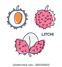 Lychee fruit icon collection. Exotic tropical fruit with vector outline and silhouette. Doodle illustration of whole and half tropical fruit. Set for web design, sign, logo, menu