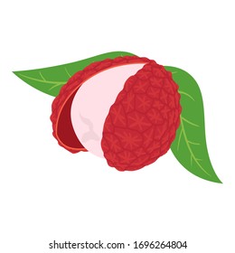 Lychee fruit icon. Isometric of lychee fruit vector icon for web design isolated on white background