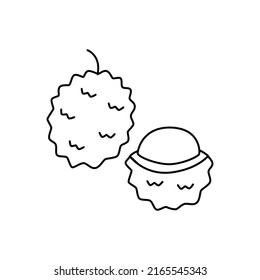 Lychee fruit icon in line style icon, isolated on white background