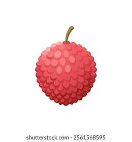 
Lychee fruit isolated flat vector illustration on white background.