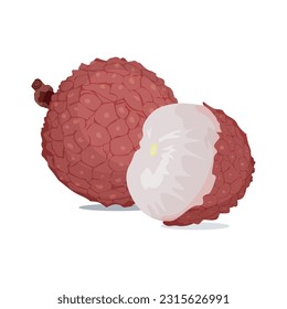 lychee fruit isolated on a white background, vector illustration 