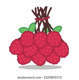 lychee fruit lychee juice lychee tree
