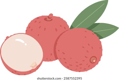 Lychee Fruit with Leaves – Exotic Tropical Superfood, Juicy Sweet White Flesh, Fresh Organic Produce, Healthy Nutrition and Asian Cuisine Ingredient Illustration