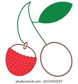 Lychee Fruit Line Art Vector for Kids Hand Drawing and Learning Tropical Fruit Illustration