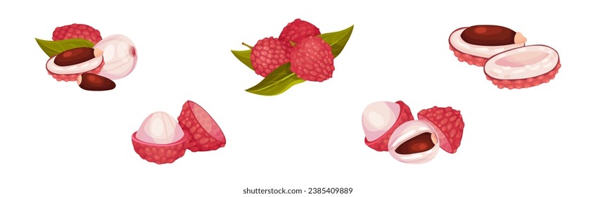 Lychee Fruit with Pink Rind and Sweet Flesh Vector Set