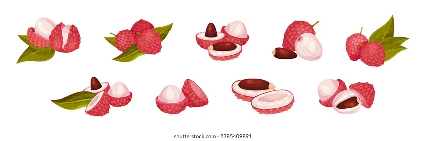 Lychee Fruit with Pink Rind and Sweet Flesh Vector Set