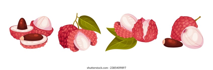 Lychee Fruit with Pink Rind and Sweet Flesh Vector Set