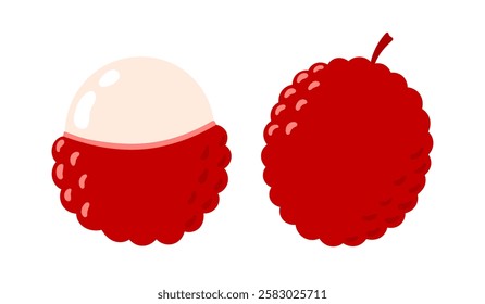 Lychee fruit set. Tropical fruits. Half and whole exotic fruit. Collection of organic vitamins and healthy nutrition. Flat Vector illustration isolated on white background