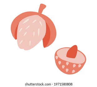 Lychee fruit. Summer tropical fruits for healthy lifestyle. Summer food. Flat vector illustration.