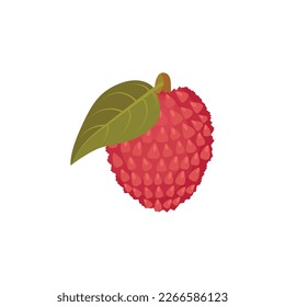 Lychee. Lychee fruit. Tropical fruit. Vector illustration isolated on white background. For template label, packing, web, menu, logo, textile, icon