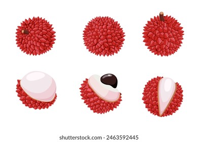 Lychee Vector de frutas Dibujos animados aislado sobre fondo blanco