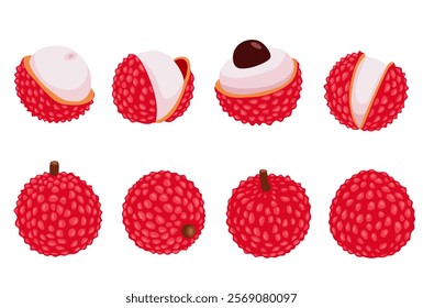 Lychee fruit vector Cartoon isolated on white background