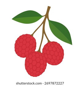 Dibujos animados del Vector de la fruta del lichi aislados en el fondo blanco	