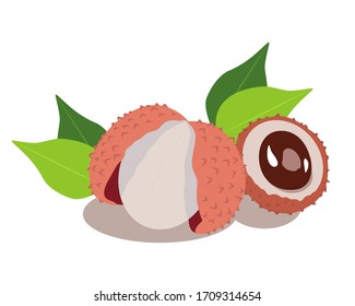 Ilustración vectorial de la fruta liquesa aislada en el fondo blanco