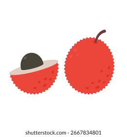 lychee fruit vector illustration isolated on white background