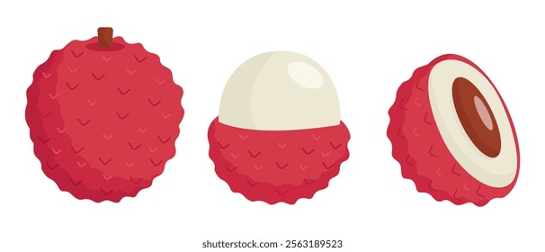 Lychee fruit vector illustration. Whole, peeled, and halved lychee in a flat minimalistic style.