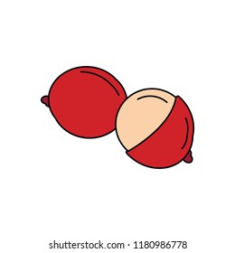 Lychee icon. Cartoon lychee vector icon for web design isolated on white background