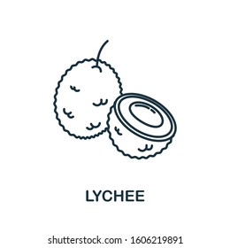 Lychee icon from fruits collection. Simple line element Lychee symbol for templates, web design and infographics