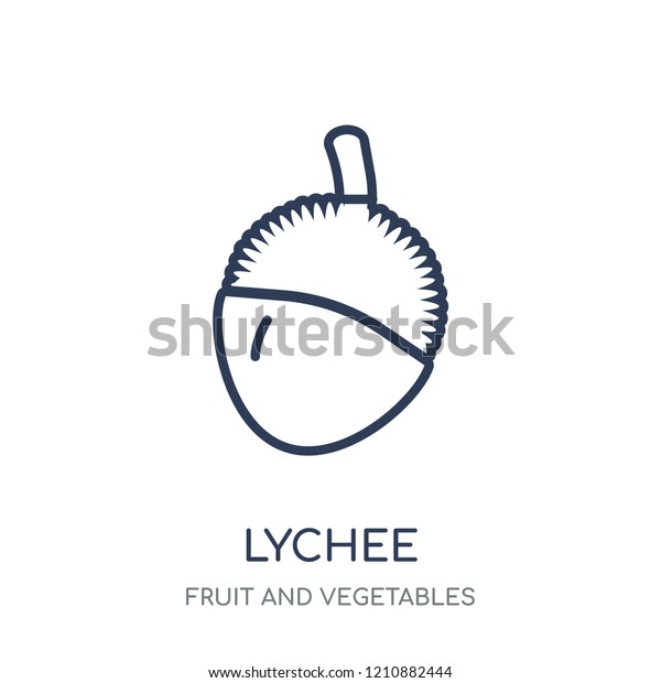 Lychee Icon Lychee Linear Symbol Design Stock Vector (Royalty Free ...