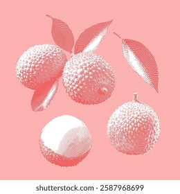 Lychee illustration on pink background
