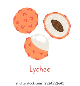 Lychee isolated hand drawn illustration on a white background. Simple poster and card