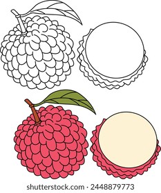 Lychee Isolated Vector Illustration Hand Drawn Coloring Page for Kids