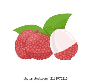 Lychee with leaves and half cut, vector illustration in flat style on white background
