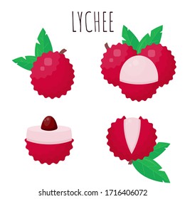 Lychee with leaves isolated on white background. Vector flat concept. Tropical fruit illustration.