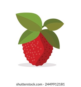 Lychee or litchee flat icon, litchi or leci image, lychee fruit vector illustration design template elements