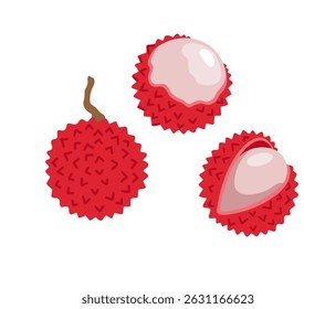 Lychee. Litchi fruta tropical exótica. Inteiro, dividido, descascado. Ilustração à mão desenhada por vetor, isolada sobre fundo branco.