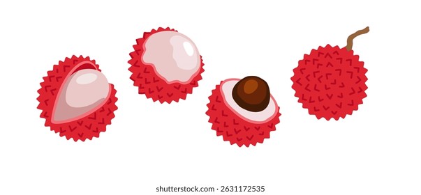 Lychee. Litchi conjunto de frutas exóticas tropicais. Frutos inteiros, cortados, descascados e cortados em fatias. Ilustração à mão desenhada por vetor, isolada sobre fundo branco.