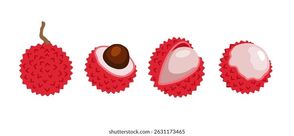 Lychee. Litchi tropical exotic fruit set. Whole, sliced, cut, peeled halved fruit. Vector hand-drawn illustration, isolated on white background.