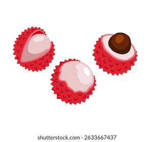 Lychee. Litchi fruta tropical exótica. Inteiro, dividido, descascado. Ilustração à mão desenhada por vetor, isolada sobre fundo branco.