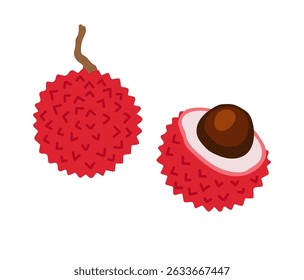 Lychee. Litchi tropical exotic fruit. Whole, halved, peeled piece. Vector hand-drawn illustration, isolated on white background.