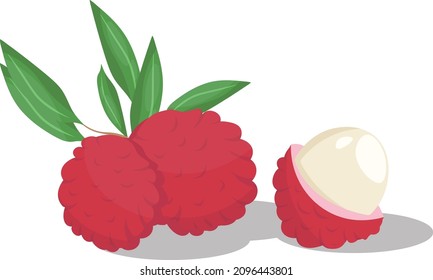 lychee on an isolated background in the flat style.cartoon fruit.vector illustration.set of lychee fruit in the peel and peeled