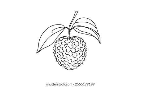 Lychee One Line Art, Black and White Vector Lychee Fruit