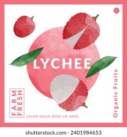 Lychee packaging design templates, watercolour style vector illustration.