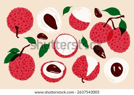 Lychee set. Fresh exotic lychees riso print style, cartoon litchi fruits with leaves and stone, whole and peeled lichi berries, sweet summer tropical fruit. Vector flat collection.