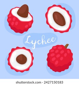 Lychee. Set of fresh lychee fruit illustrations. Fresh, sweet, ripe tropical fruits. Half and whole of lychee. Fruits, berries. Exotic fruits. 