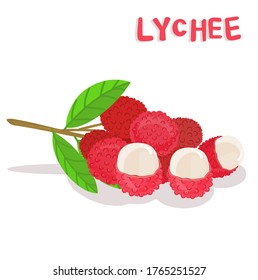 Lychee Thai Fruit on White Background Vector