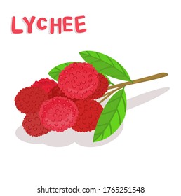 Lychee Thai Fruit on White Background Vector