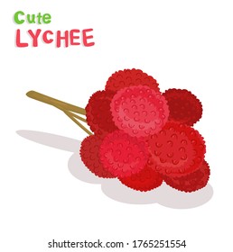 Lychee Thai Fruit on White Background Vector