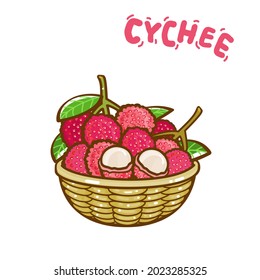 Lychee Thai Fruit on White Background Vector