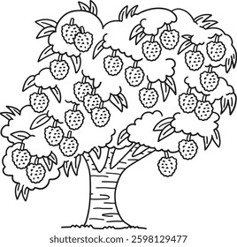 Lychee Tree Fruit Plant Isolated Coloring Page 