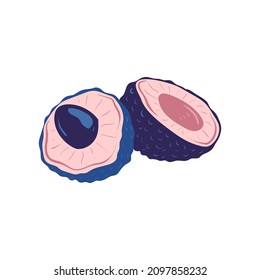Lychee. Tropical fruit and graphic design elements. Ingredients color cliparts. Sketch style smoothie or juice ingredients.